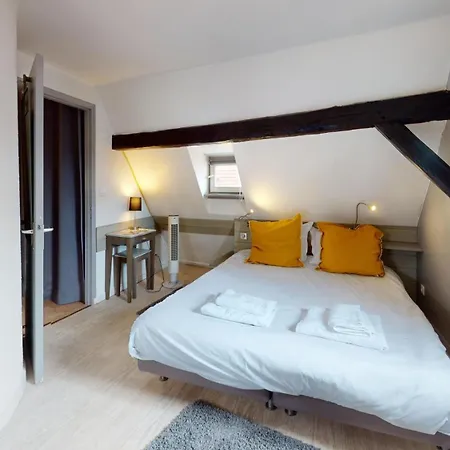 Apartment La Grande Ourse Colmar