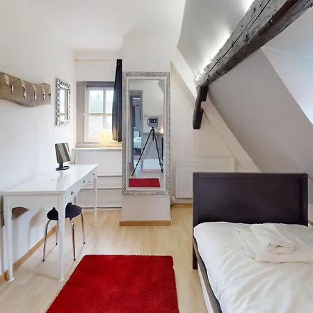 La Grande Ourse Apartment Colmar